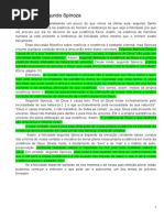 A Vida Feliz Segundo Spinoza