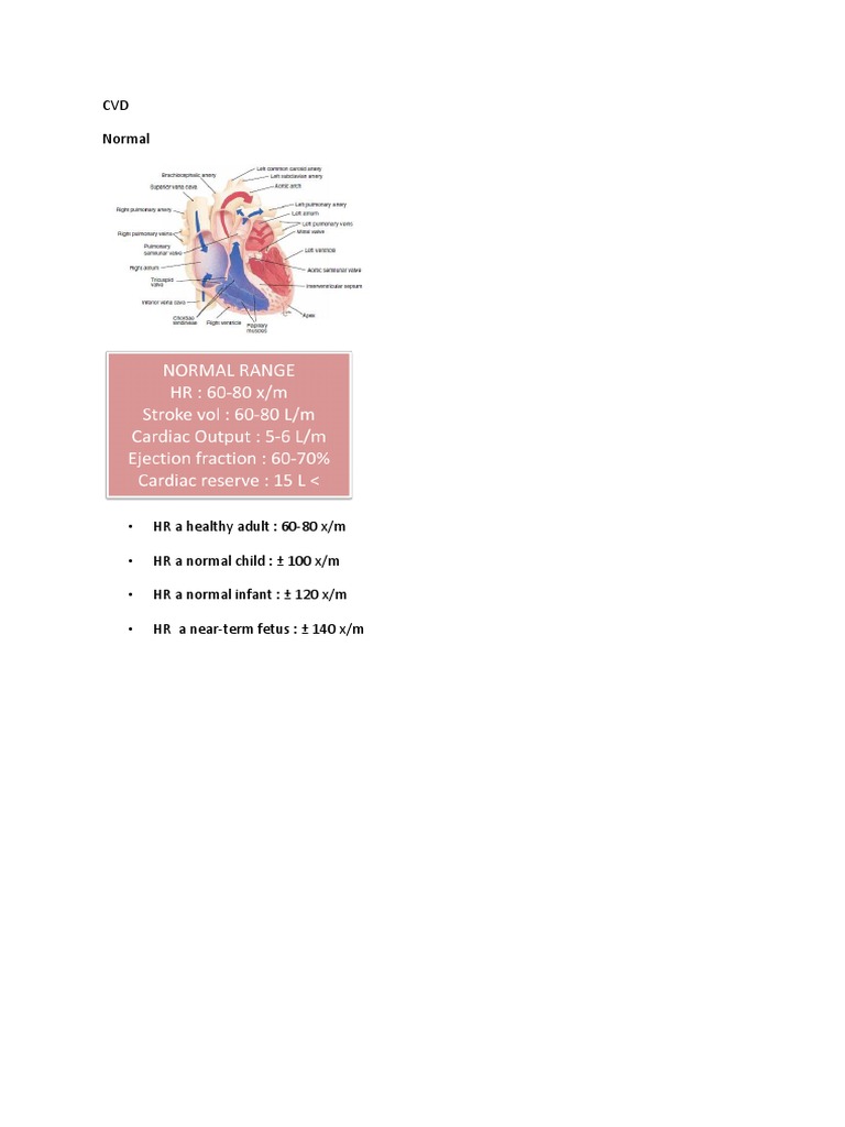 Normal Heart Rate Ranges by Age | PDF