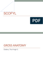 Scofyl Synthesis