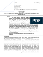 Efficacy of Leaf Extracts against the Post Harvest Fungal Pathogens of Cowpea