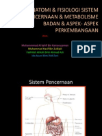 Anatomifisiologisistempencernaanmetabolismebadan 120402114009 Phpapp01
