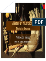 Nutricion Basica