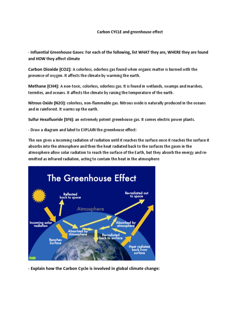 Carbon Cycle and Greenhouse Effect Explained | PDF | Greenhouse Effect ...