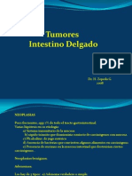 20) Tumores Intestino Delgado