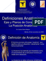 Anatomia Posiciones