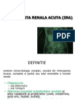 IRA_2012