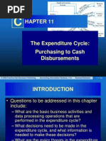 Download Threats in Expenditure Cycle by MarudharCards SN219286653 doc pdf