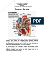 Resumen Corazón