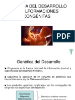 Genética del desarrollo y malformaciones congénitas: factores genéticos y ambientales