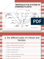 The Sexual Reproductive System of Flowering Plants.: Title
