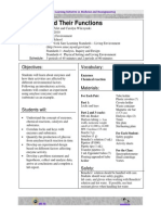 Enzymes Aenzymes and Their Functions