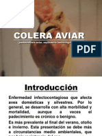 9 Colera Aviar