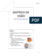 biofisica_visao