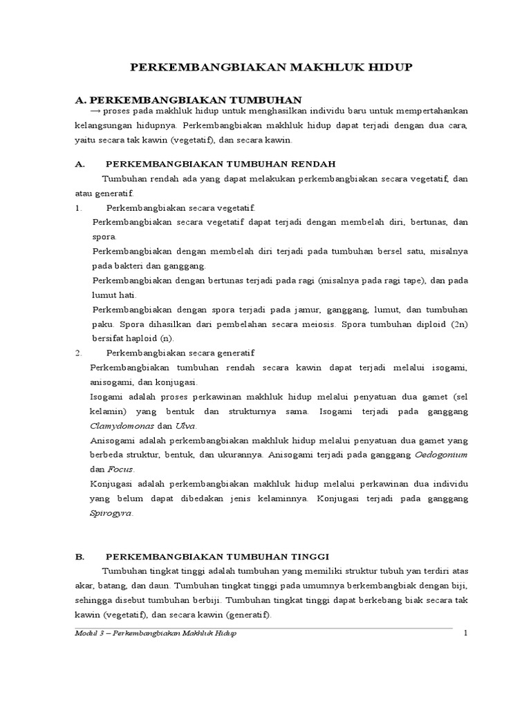 Modul 3 Doc