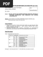 Download Laporan Praktikum Mikrobiologi Industri Antibiotika by Vidya Hanum Ayuningtyas SN219338179 doc pdf