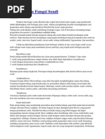 Perbezaan Antara Akomodasi Dengan Asimilasi