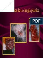 Cirugia Plastica y Reparadora Veterinaria