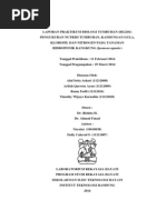 Download Laporan Praktikum Biologi Tumbuhan by Afaf Ashari SN219376409 doc pdf