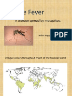 Dengue Fever Bio 62