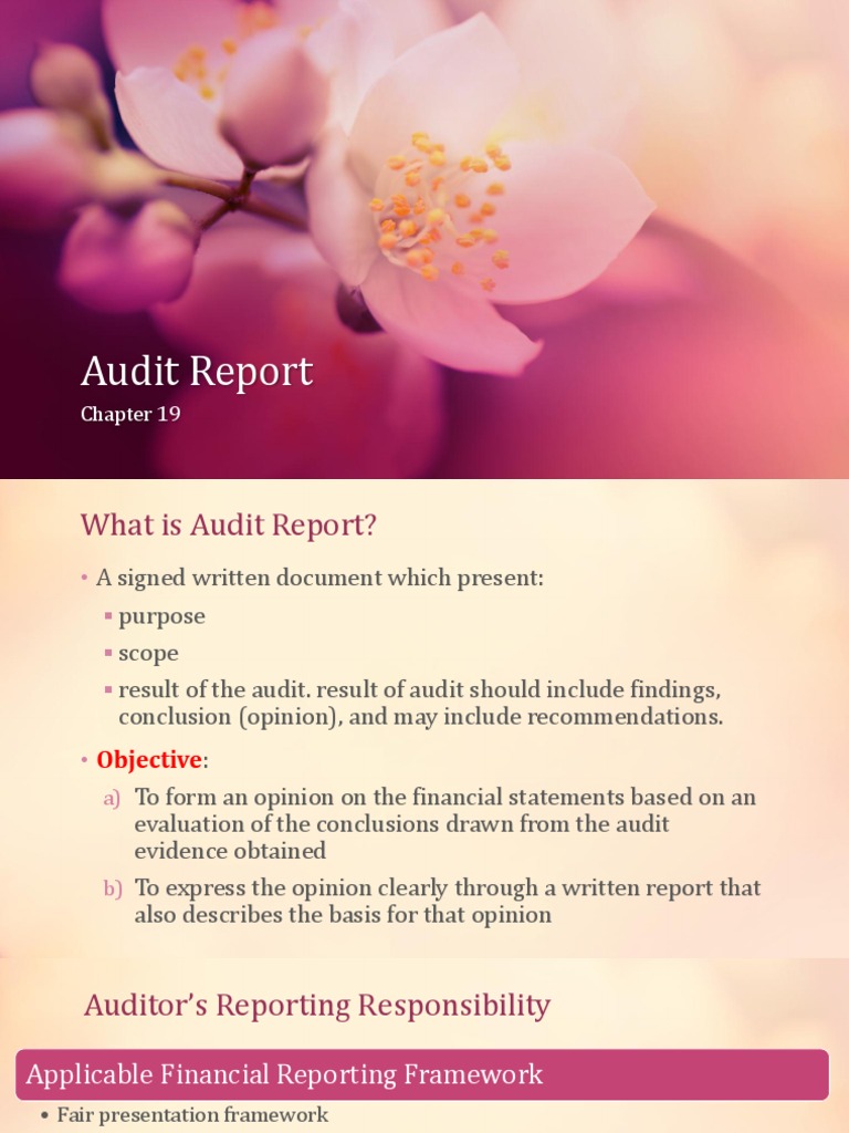 Audit Report In Malaysia Chapter 19 Pdf Auditor S Report Going