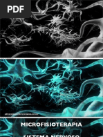 Palestra Sistema Nervoso