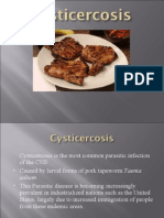 Cysticercosis Is The Most Common Parasitic Infection of The CNS