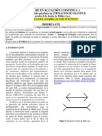 Evaluación ilusión Müller-Lyer