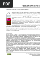 28 Analise de Uma Coluna de Winogradsky-1