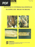Diagnose e Controle Das Doenças Da Espiga de Milho No Brasil