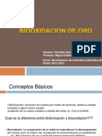 Biooxidacion de Oro - Christian Escobar