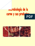 Microbiologia Carne 2008