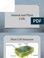 Cell Structure PP