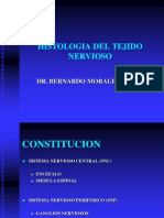 6histologia Del Tejido Nervioso