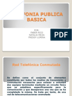 Telefonia Publica Basica