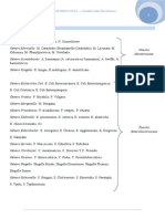 Clasificación Bacteriana Según Tinción de GRAM