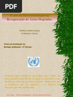 Apresentação Sobre Biorremediação (1)