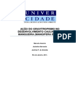 Artigo Cientifico Gravitropismo Da Mangueira 01