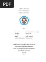Download I IKANdocx by Rahmat Nokias Gic SN219518917 doc pdf