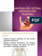 Anatomia Del Sistema Reproductor Femenino