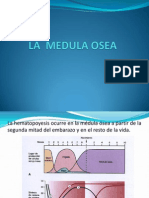 Clase 06 Aspiracion Biopsia Mielograma