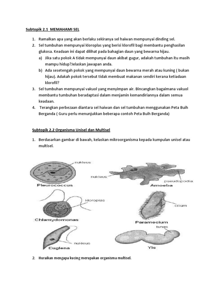 Soalan Kbat Sains Tingkatan 1 Bab 2 Pdf