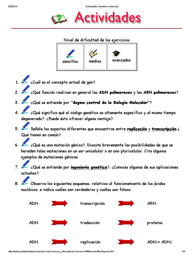Actividades de Genética para Secundaria | PDF | Adn | Rna, image size:768x1024