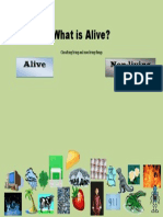 What Is Alive Interactive