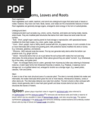 Download Biology Notes by Shaik Baji SN219573485 doc pdf