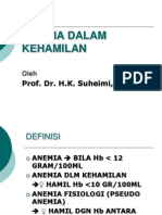 Anemia Dalam Kehamilan