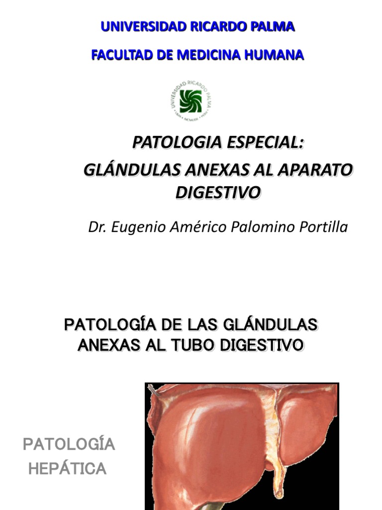 4ta Teo de Pato Patología Glándulas Anexas Al Tubo