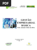Gestão Empresarial Básica - Prof. Antonio Cleber da Silva.pdf