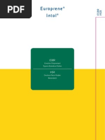 Download Europrene INTOL POLIMERI by Rubik Art SN219587213 doc pdf