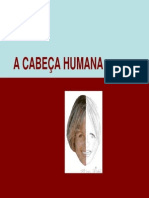Proporções da cabeça humana.pdf