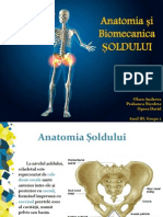 articulatia umarului scribd